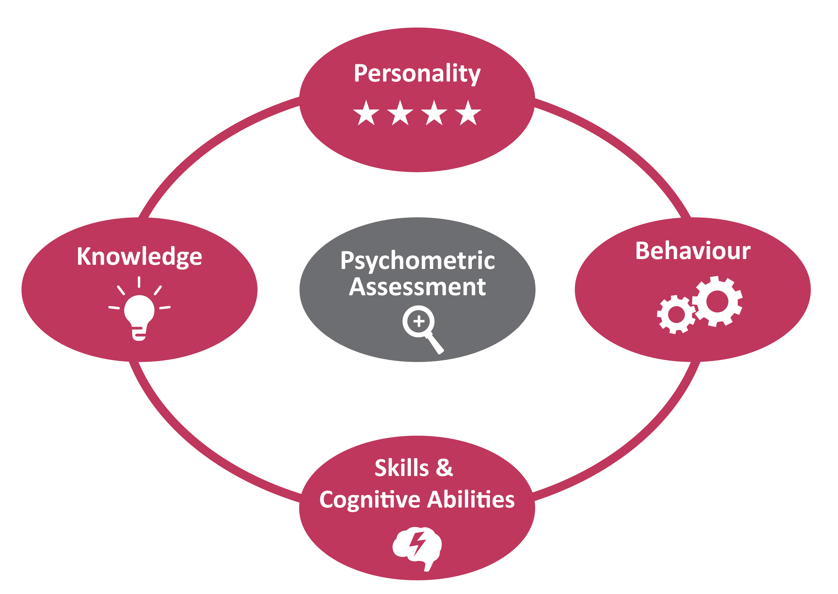 Team Fit assessment tools