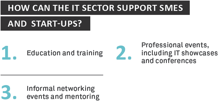 How can the IT sector support SMEs and start-ups - Sourced Report August 2014